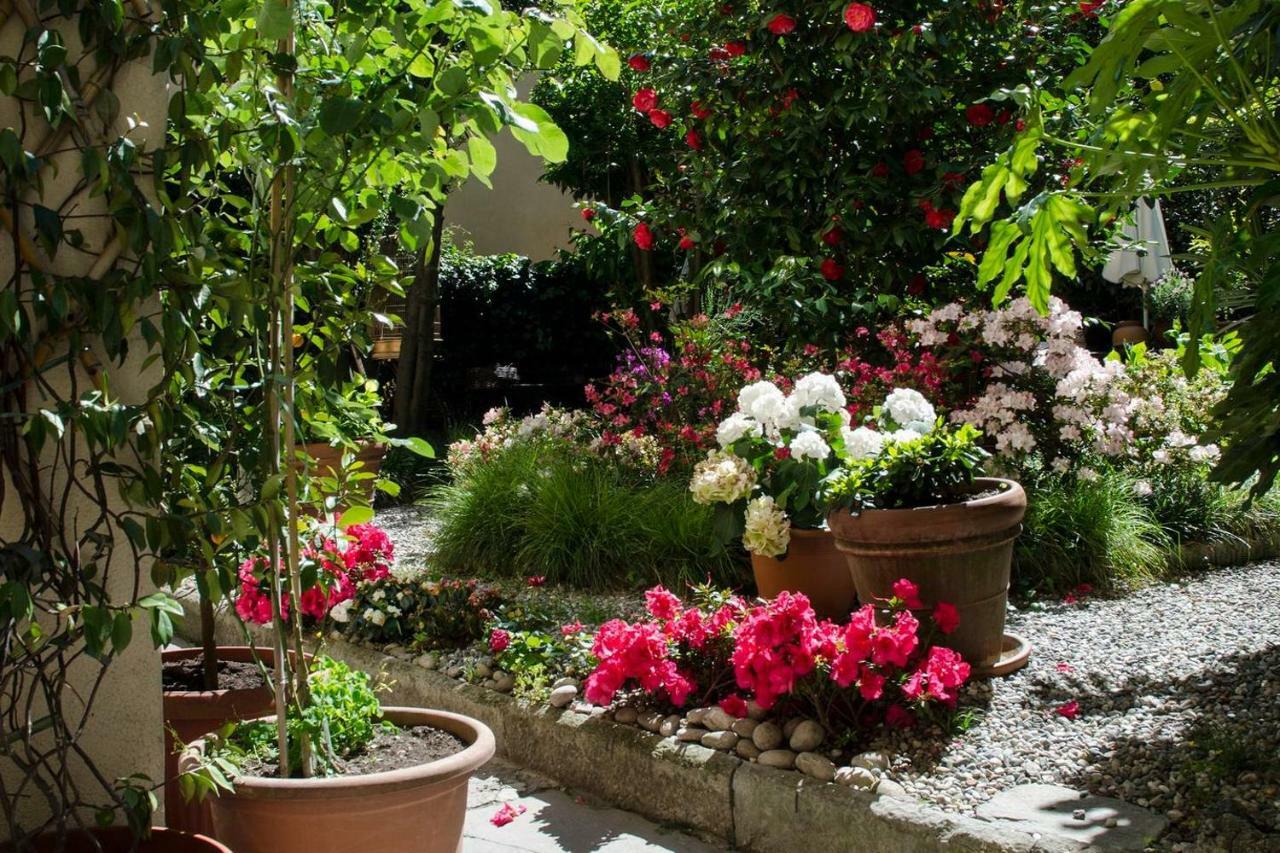 Joivy Cute 1-Bedroom Flat Next To Lake Como Buitenkant foto